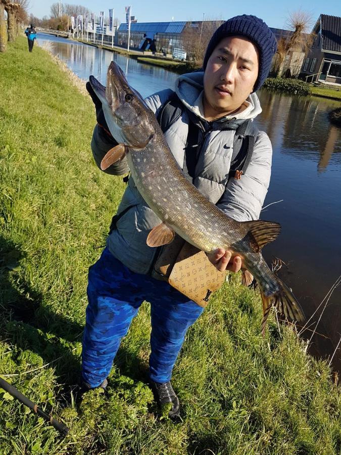Camping De Oude Rijn Ter Aar Bagian luar foto